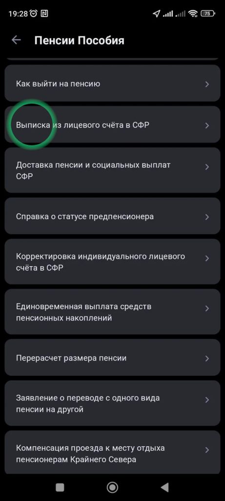 Выписка из лицевого счета в СФР