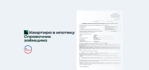 Выписка из СФР: инструкция для ипотеки